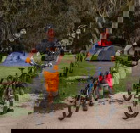 Ngarigo campground - Perths Hotel