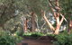 Outback Cellar Dubbo - thumb 2