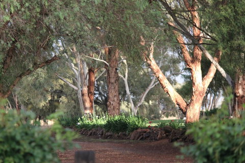 Outback Cellar Dubbo - Perths Hotel 2