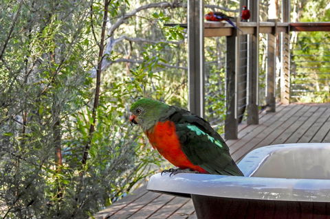 Araluen Park Cottages - Perths Hotel 2