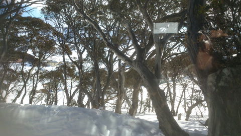 Barina Milpara Lodge - Perths Hotel 1