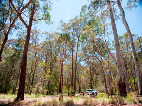 Coolah Tops National Park Camping - Perths Hotel 0