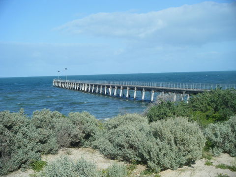 Haslam Campground - Perths Hotel 0