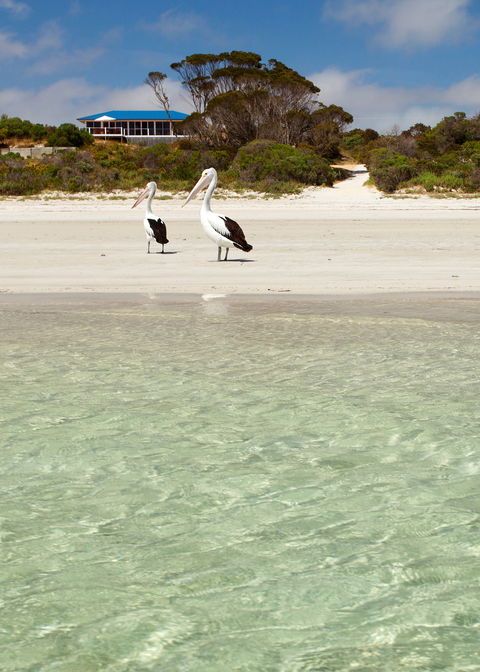 Kangaroo Island Star Beach House - Perths Hotel 1