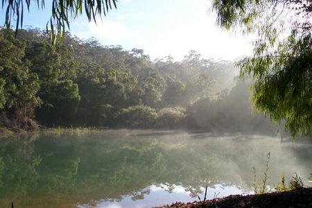 Karri Valley Chalets - Perths Hotel 2