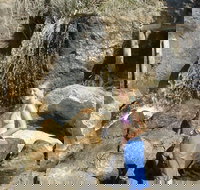 Misty Valley Country Cottages - Perths Hotel