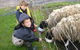 Meerup Springs Farmstay - thumb 3