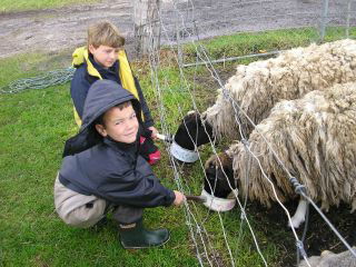 Meerup Springs Farmstay - Perths Hotel 3