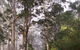Warren River Cottages - thumb 2