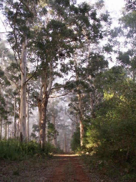 Warren River Cottages - Perths Hotel 2