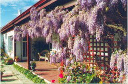 Woodchester Bed And Breakfast - Perths Hotel 1