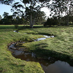 Bolganup Homestead - Perths Hotel 3