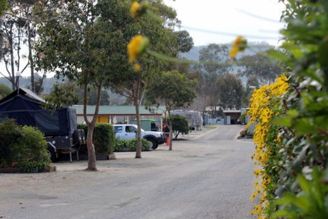 Albury All Seasons Tourist Park - Perths Hotel 0