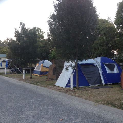 Albury All Seasons Tourist Park - Perths Hotel 9