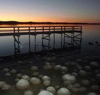 Lake Clifton Caravan Park - Perths Hotel