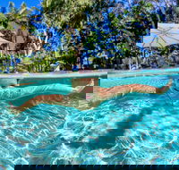BIG4 Ballina Headlands Holiday Park - Perths Hotel