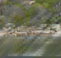 Boondi Rock Camp at Goldfields Woodlands National Park