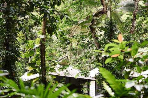 Daintree Ecolodge - Perths Hotel 0