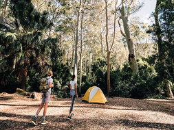 Book Hardys Bay Accommodation Vacations Perths Hotel Perths Hotel