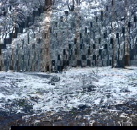 High Peaks Cottages - Perths Hotel