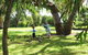 Kennett River Holiday Park - thumb 1