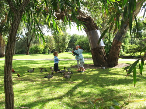 Kennett River Holiday Park - Perths Hotel 1