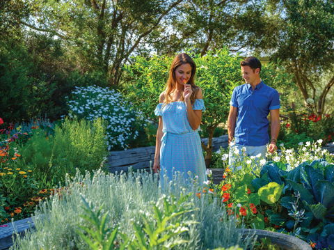 Olio Bello Lakeside Glamping - Perths Hotel 1