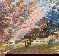 Tumbarumba Caravan Park - Perths Hotel