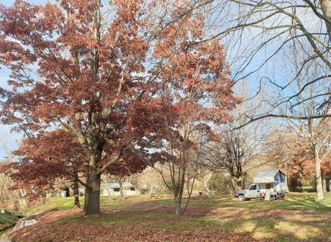 Tumbarumba Caravan Park - Perths Hotel 0