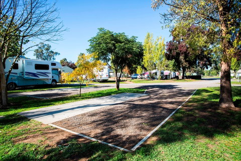 BIG4 Bendigo Marong Holiday Park - Perths Hotel 1