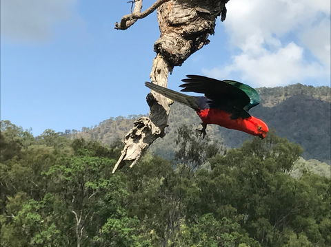 Cave Rock Cottages - Perths Hotel 2