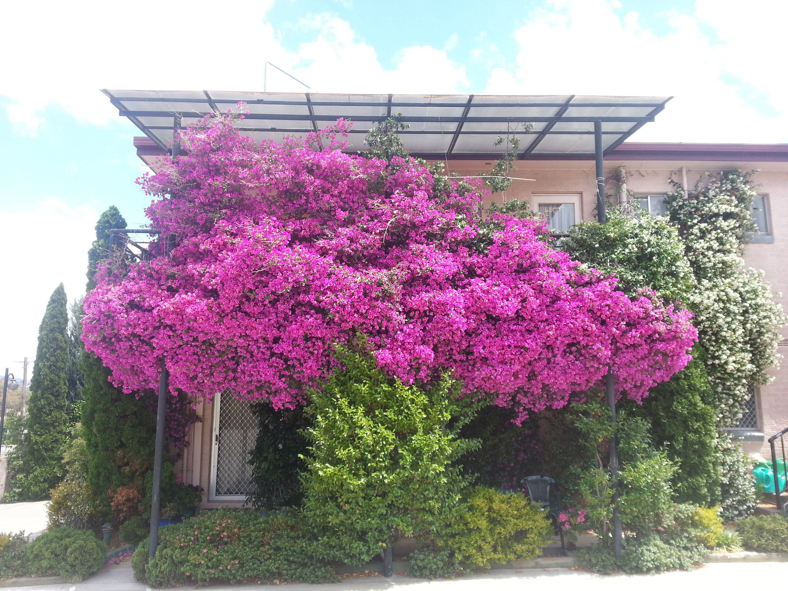 Queanbeyan NSW Perths Hotel