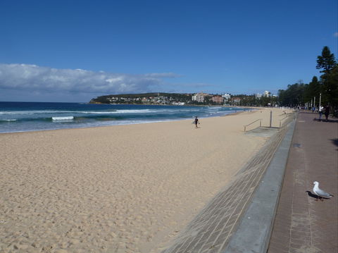 Manly Seaside Cottage - Perths Hotel 0