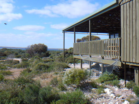 Melaleuca - Eco And Pet Friendly,  Harbor Point Cabins - Perths Hotel 1