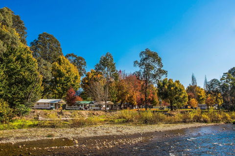 Porepunkah Bridge Holiday Park - Perths Hotel 1