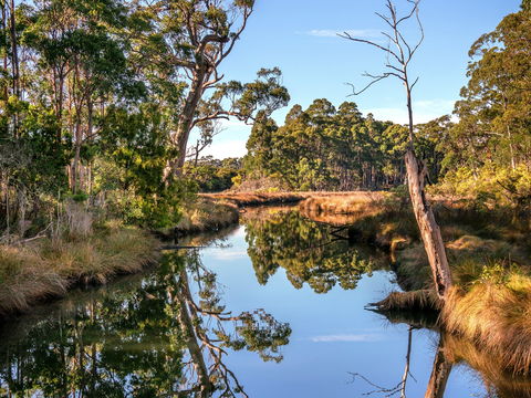 Saintys Creek Cottage - Perths Hotel 1