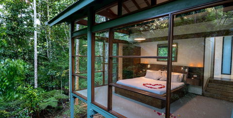 Crystal Creek Rainforest Retreat - Perths Hotel 2