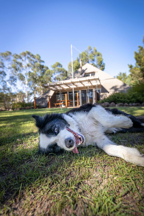 Grampians Getaway - Perths Hotel 0