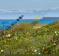 Preston Beach Front Apartment - Perths Hotel