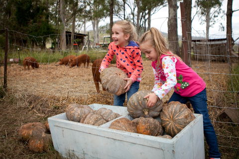 Tommerups Dairy Farmstay - Perths Hotel 2
