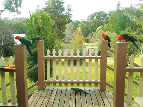 Warrumbungles Mountain Motel - Perths Hotel 0
