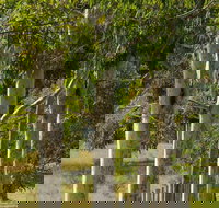 Stringybark Cottages - Perths Hotel