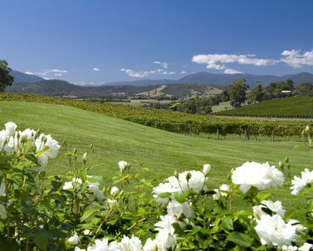 Balgownie Estate Vineyard Resort And Spa - Perths Hotel 0
