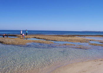 QueenscliffeTourist Park - Perths Hotel 3