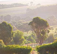 Mackas Farm - Perths Hotel