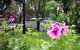 Beach Park Tourist Caravan Park - thumb 2