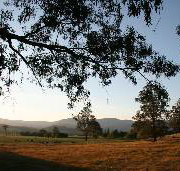 Cann River Rainforest Caravan Park - Perths Hotel