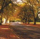 La Trobe at Beechworth - Perths Hotel