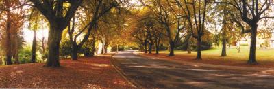 La Trobe At Beechworth - Perths Hotel 0