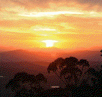 Avocado Sunset